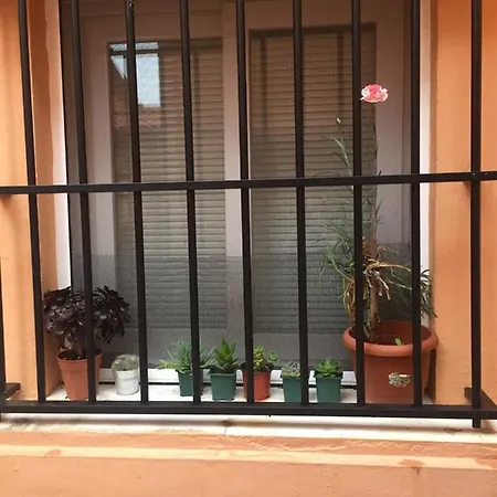 Casa Pepi *